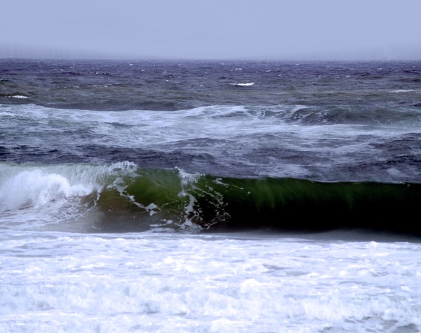 Aftermath of a Storm VI