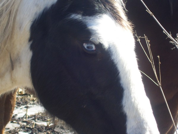 spirit eye