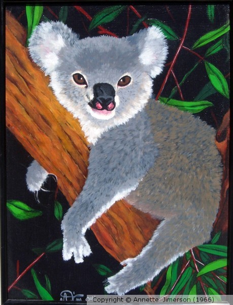 Koala Bear