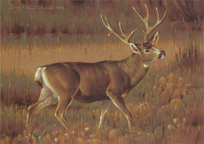 Meadow Meander