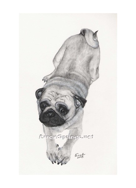Pug Playbow