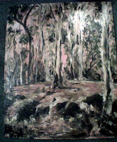 my back  yard in the bush