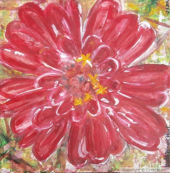 The Zinnia the Eva grew
