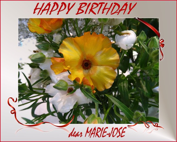 some flowers for Marie-José