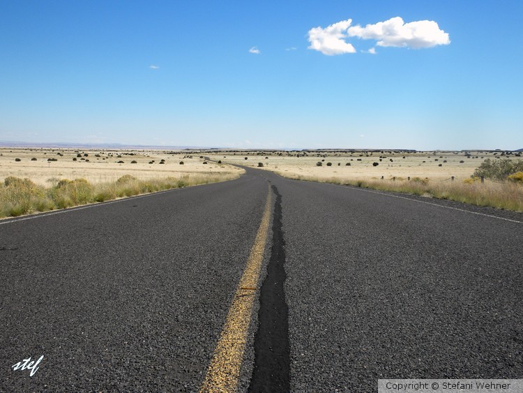 in the middle of the road