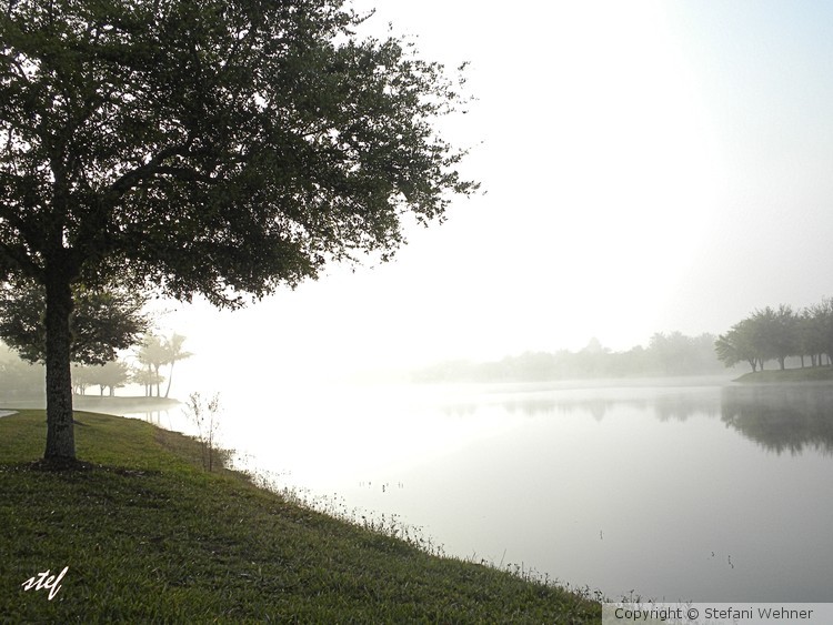 florida morning (1)
