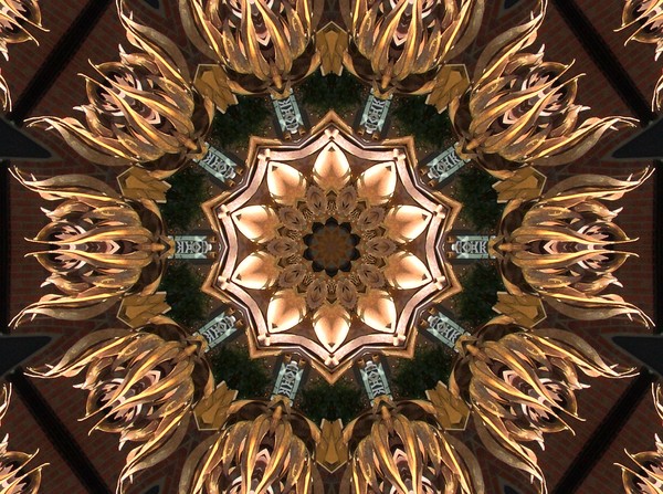 flames of flowers