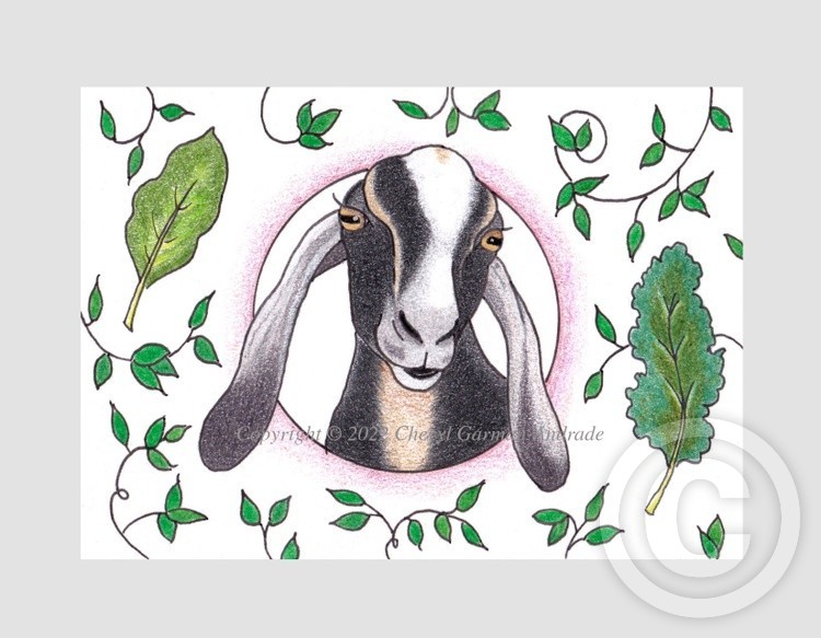 Nubian Goat & Collards Whimsical Illustration