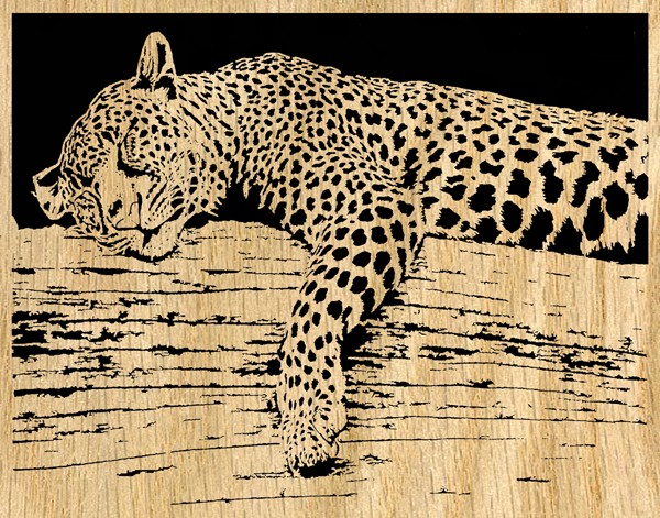 Sleeping Beauty