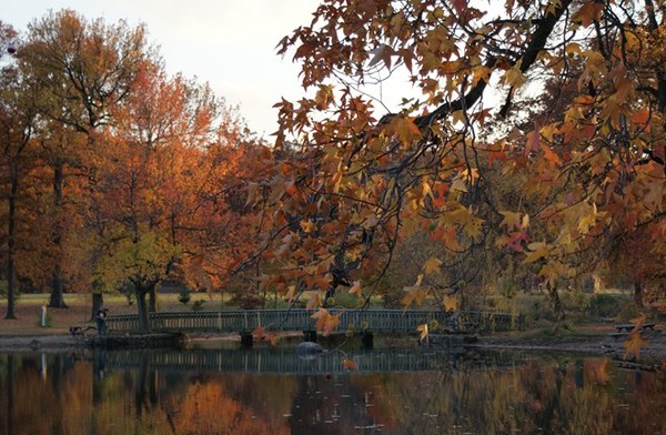 Bellevue State Park - Delaware