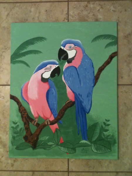 Macaws of a Different Color