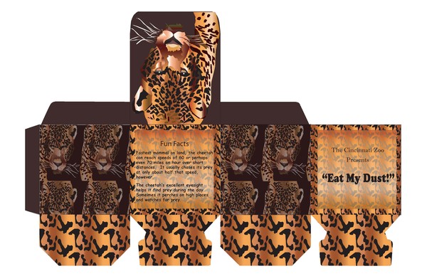 Cincinnati Z00 Box Design