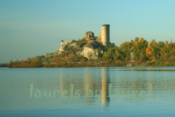 View along the Rhone River near Avignon