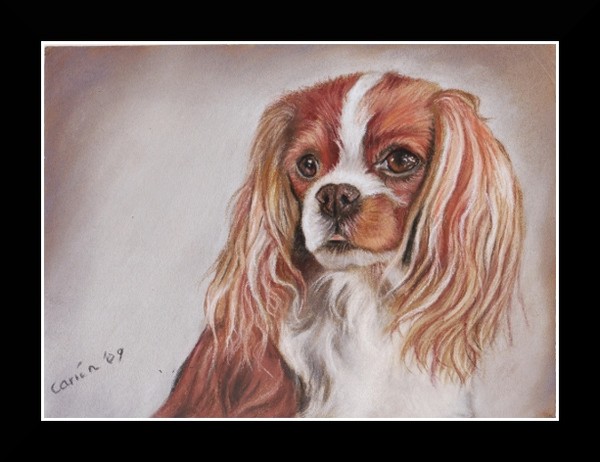 nc art orig pastel cavalier king charles 5