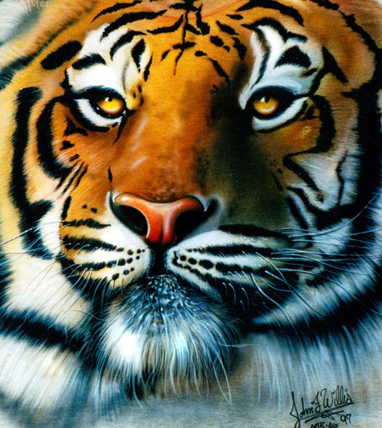 Tiger