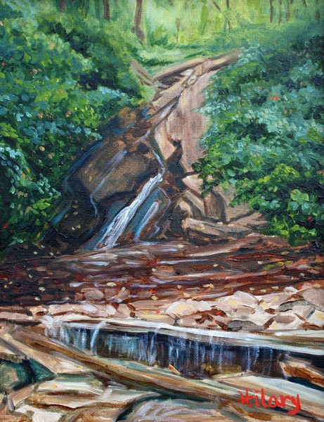 Glen Onoko Falls in Early Autumn