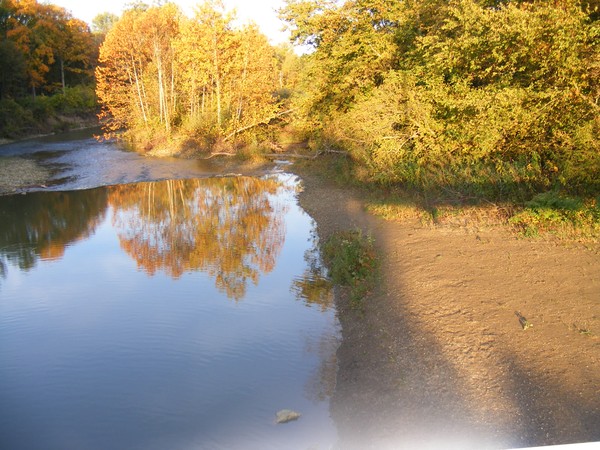 the beauty of fall