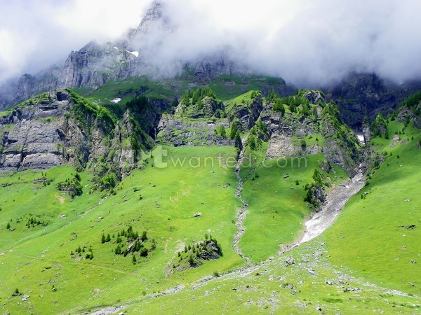 Morning Fog  In The Alps
