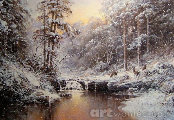 Forest Light
