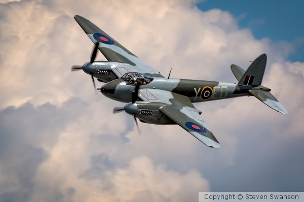 Mosquito2