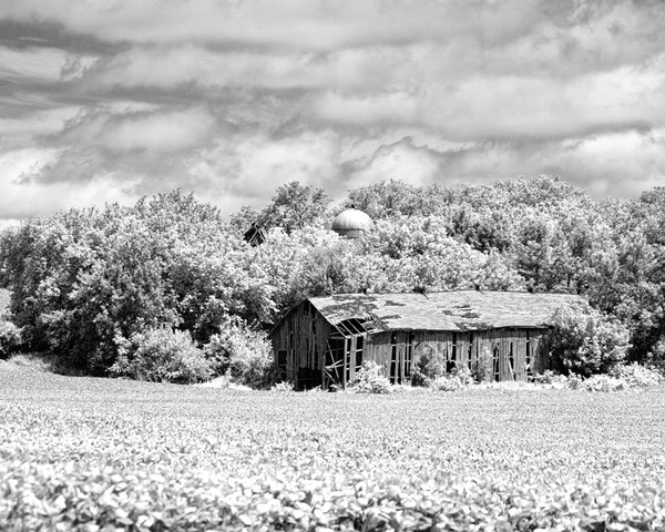 Old Barn