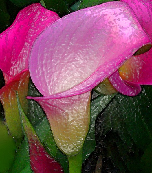 Fantasy Flower