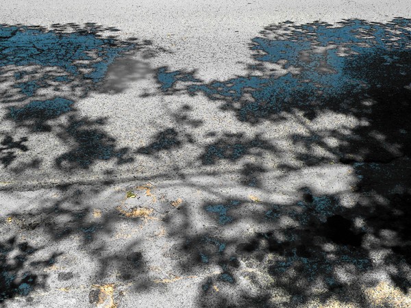 Shadow Play 