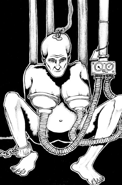 Milk