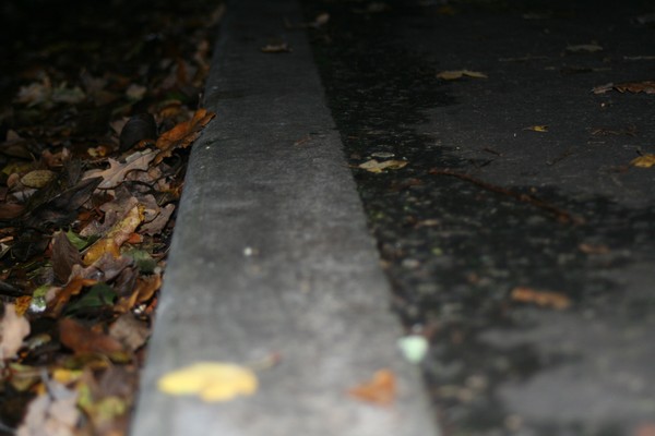 The path