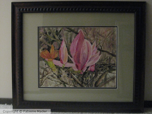 Spring Magnolia