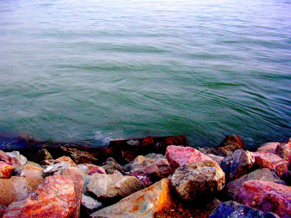 Tiburon rocks the bay