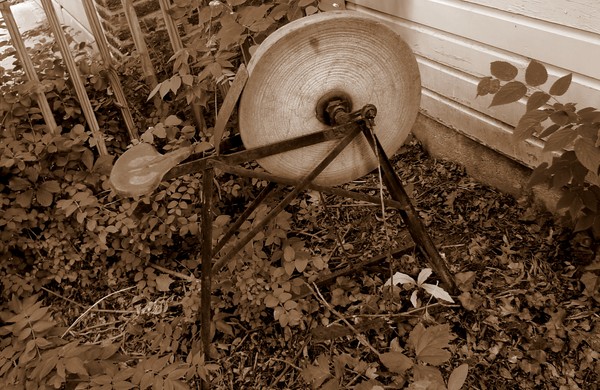 back yard