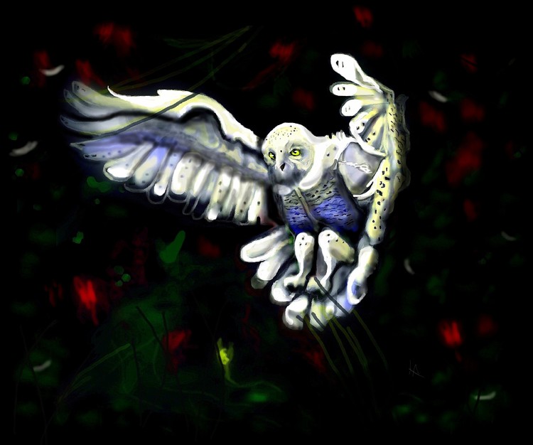 Ghost Bird