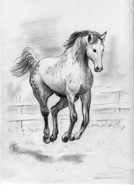 horse