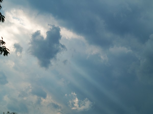 Do you see what i see?