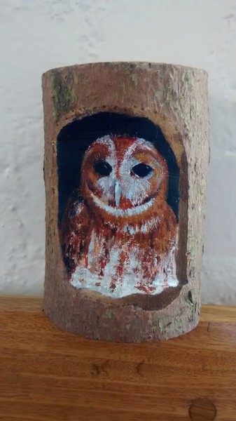 Tawny Owl