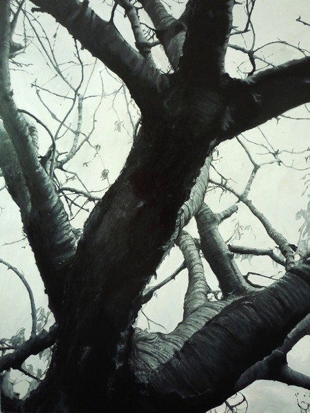 Cherry tree