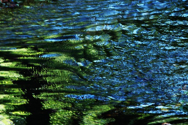 Natural Reflections 8381 20x30