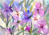 Iris Fields