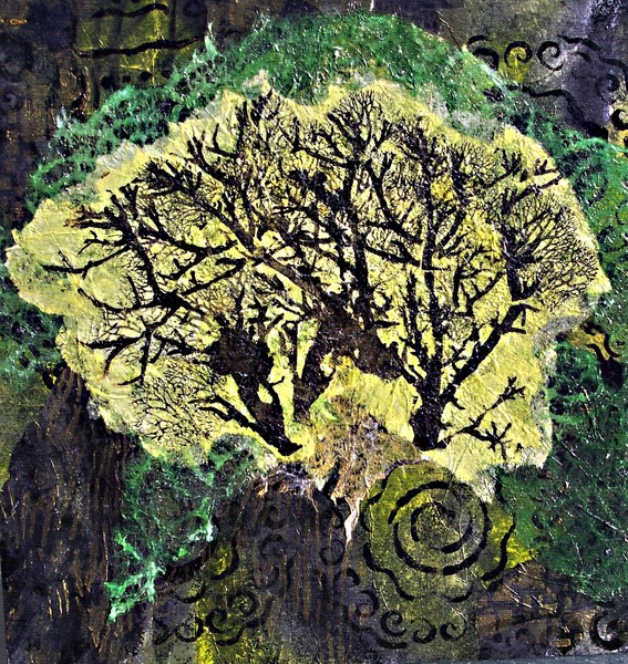 Night Trees