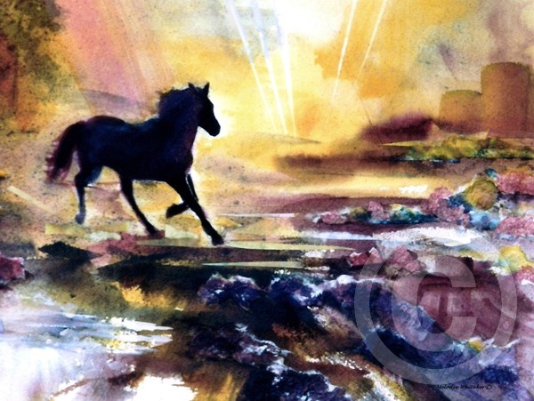 The Way Home