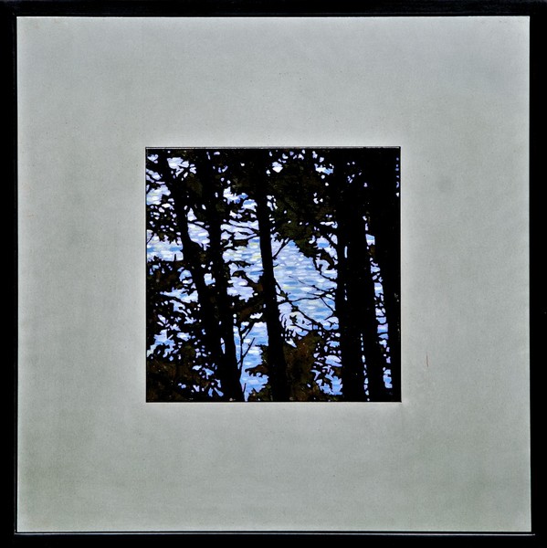 Stand of Northern Pines