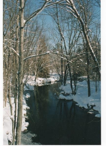 A Winter Stream
