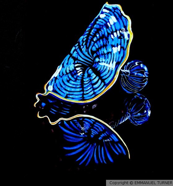 Blue Reflection-chihuly glass