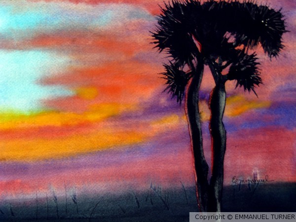 desert sunset