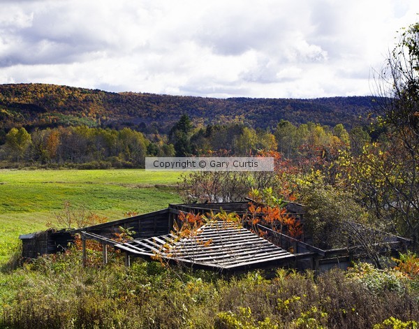 Slatted Roof with Red Foliage