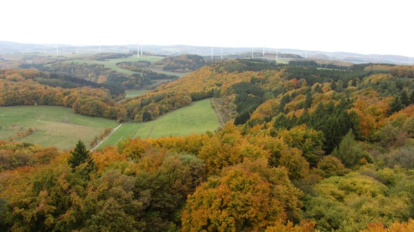 Eifel 06