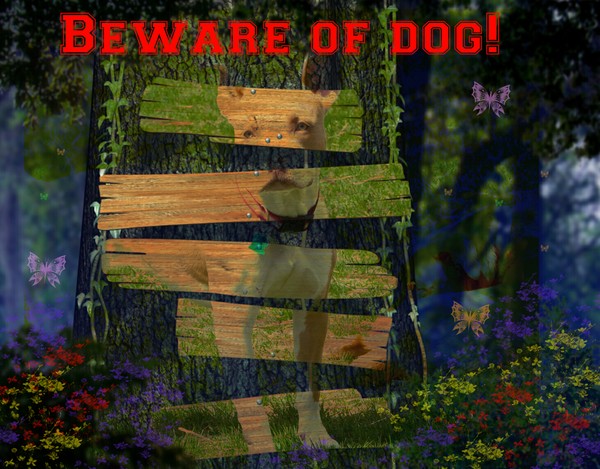 Beware of Dog Sign