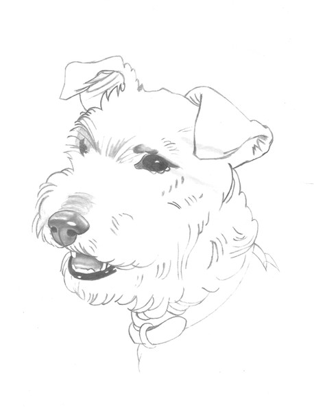 Dog