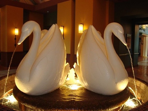 Swans